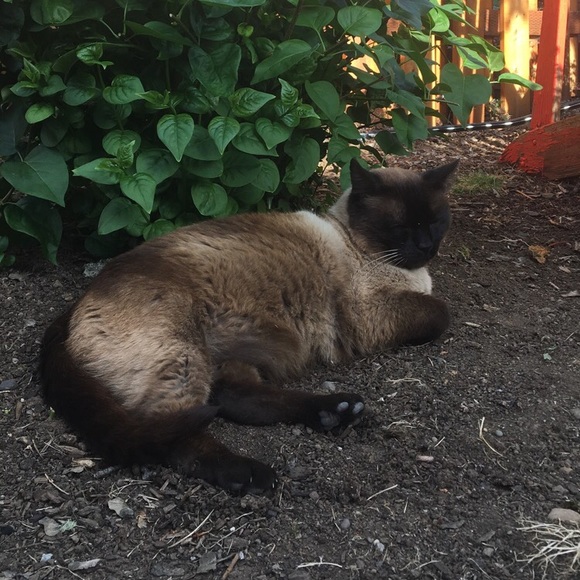 Meet the Posher, Marissa! - Picture 5 of 5